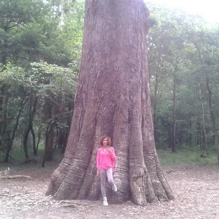 Appartamento Viveiro, Terraza Grande, 2 2 Banos, Piscinas, Parking, Tenis, Club Social *